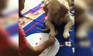 बोरियत में इंसान क्या क्या करने लगता है