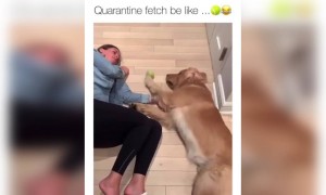 सब बोर रहे है आजकल अपने घरों में