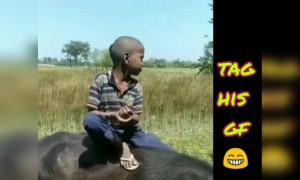 भैंस के ऊपर बैठ गर्लफ्रेंड चाहिए इस लड़के को