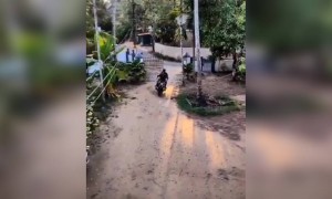 ये होती है न असली दोस्ती