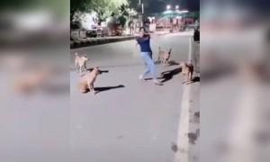 बसंती इन कुत्तों के सामने मत नाचना