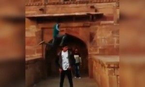 कूदना बड़ा भारी पड़ गया लड़के पर