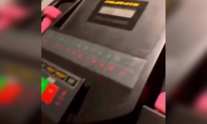 अगली बार ये बच्चा ऐसी शैतानी करने से पहले दो बार सोचेगा