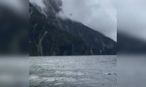 ऐसा अद्धभुत नजारा आपने कभी देखा है