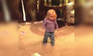 ये क्यूट वीडियो देख कर आप हंस पड़ोगे