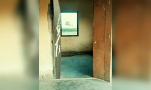 अरे अब ये कैसा जादू है भाई