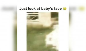 बच्चे की शकल देखने लायक है