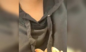 भारती का ये नया अवतार देखिये