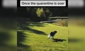 क्वारंटाइन जैसे ही ख़त्म होगा