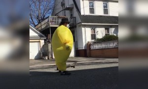 कितना भी सेफ्टी गियर पेहेन लो पर बिना मतलब ऐसे बाहर मत निकलो अभी