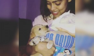 देखिये कैसे बच्चे की तरह दूध पी रहा ये पपी