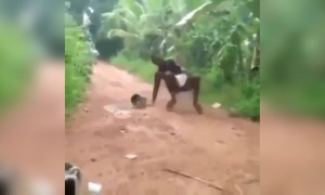 भाई सांप देख कर तो अच्छे अच्छों की हवा निकल जाती है