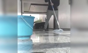 साउथ के फिल्म स्टार ने बनायीं वीडियो घर के काम करते हुए