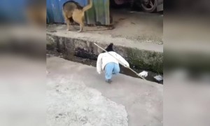 अब ये किसने कर दिया भाई LOL