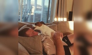 देखे ये पशुप्रेमी का वीडियो