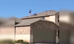 ओ भाई आखिर के करना क्या चाहता है