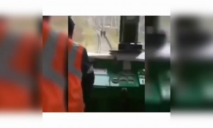 क्या डराया इसने बेचारों को