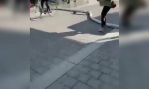 गायब हो गया सीधा LOL