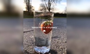 बहुत ही प्यारा सन्देश है