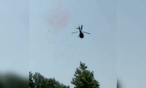 फूलों की बारिश