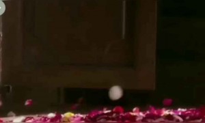 क्यूट सा म्यूजिक वीडियो