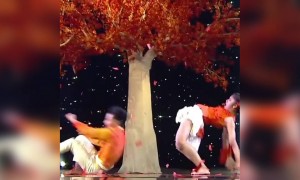 क्या शानदार डांस किया है इन्होने