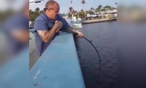 मछली पड़की है या मगरमछ