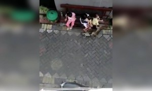 ये बन्दर पागल हो गया है लगता LOL