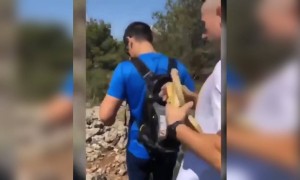 डर कर पेड़ में ही कूद गया