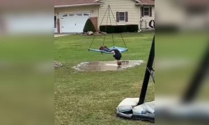 भाई ये कौन सा तरीका है झूलने का