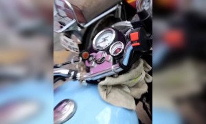 आपको क्या लगा क्या होगा आगे?