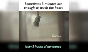 ये वीडियो देख आपका दिल भर आएगा