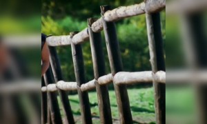 एक अजनबी मेरे दिल को भला भला सा लगा