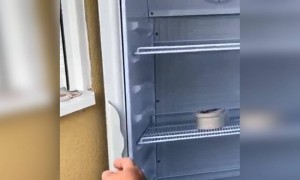 ऐसे उल्लू बनाते है लोगों को LOL