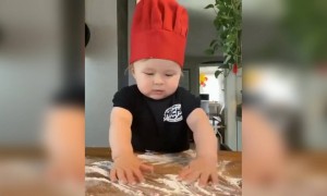 इस क्यूट बच्चे ने बनाया पिज़्ज़ा