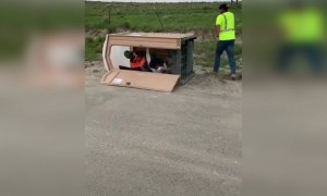 बेचारा अंदर बैठा होगा शान्ति से LOL