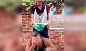 पानी में दाल दिया रंग