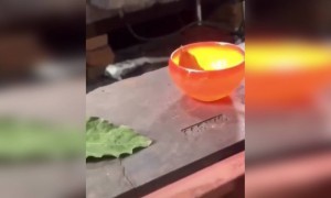 अंत तक देखिये, पतीला क्या सुंदर बना है