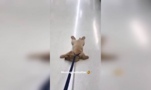 सुबह उठने के बाद मेरी हालत ऐसी ही होती है