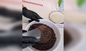 इसको देख आपका मन ललचा जायेगा