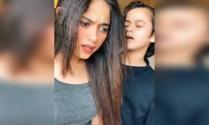 ये चीटियों को कौन समझाता है