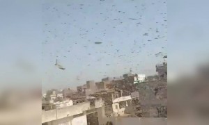 अब ये नया क्या संकट आ गया दुनिया में