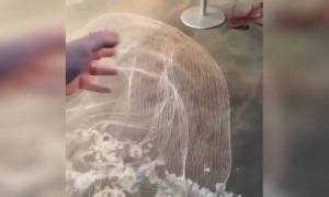 ये क्या कूल आर्ट है