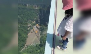 देखिये आखिर तक इसको