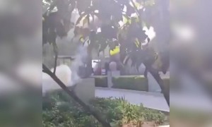 धुंए से गोला बना रहा ये