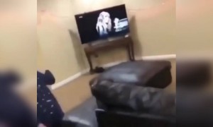 हवा में उड़ गयी लड़की LOL