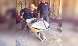 क्या गिरा है लड़का ये LOL