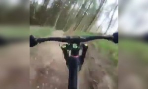 दिल थाम कर ये देखिये