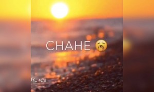 मेरे हिस्से की हसी को ख़ुशी को