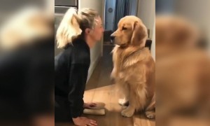 क्या आप भी कुत्तों से इतना ही प्यार करते है